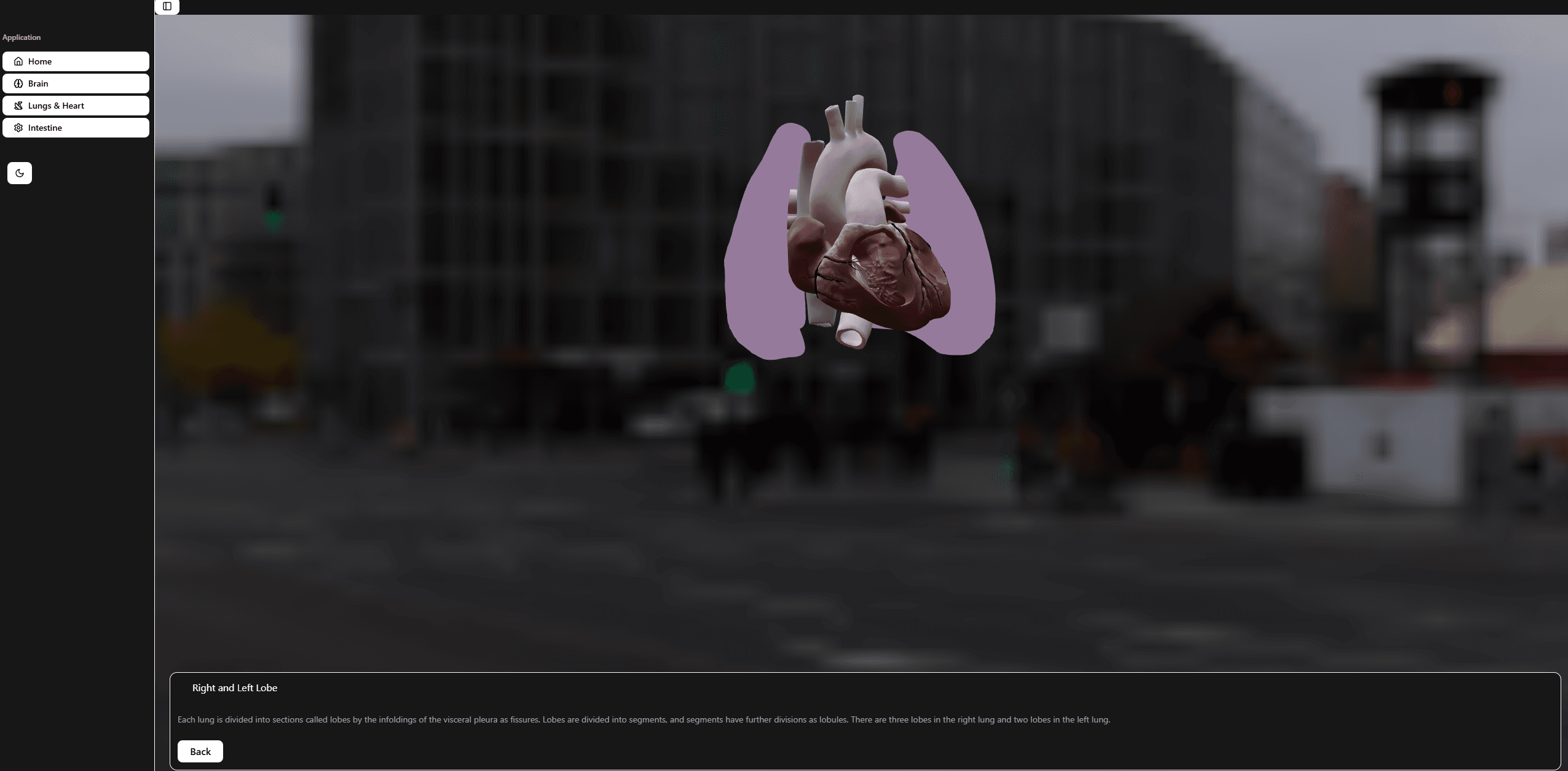 Organ İnformation System